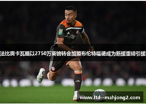 法比奥卡瓦略以2750万英镑转会加盟布伦特福德成为新援重磅引援 法比奥卡瓦略以2750万英镑转会加盟布伦特福德成为新援重磅引援